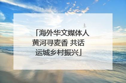 海外华文媒体人黄河寻麦香 共话运城乡村振兴