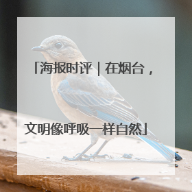 海报时评｜在烟台，文明像呼吸一样自然
