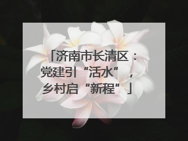 济南市长清区：党建引“活水”，乡村启“新程”