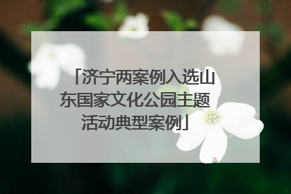 济宁两案例入选山东国家文化公园主题活动典型案例