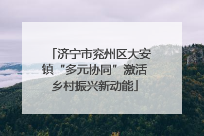 济宁市兖州区大安镇“多元协同”激活乡村振兴新动能