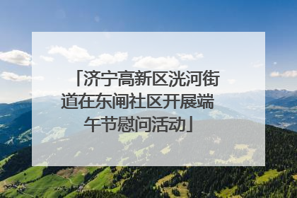 济宁高新区洸河街道在东闸社区开展端午节慰问活动