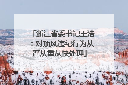 浙江省委书记王浩：对顶风违纪行为从严从重从快处理