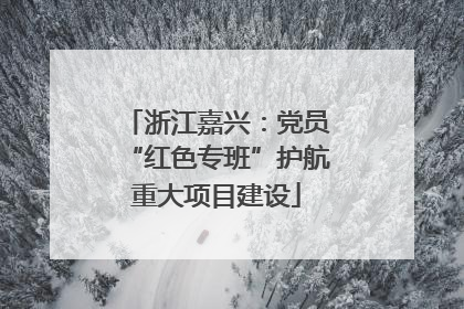 浙江嘉兴：党员“红色专班”护航重大项目建设
