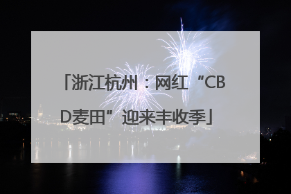 浙江杭州：网红“CBD麦田”迎来丰收季