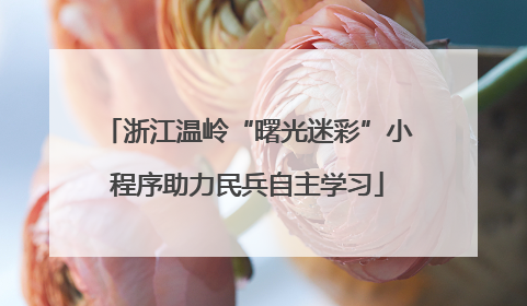 浙江温岭“曙光迷彩”小程序助力民兵自主学习
