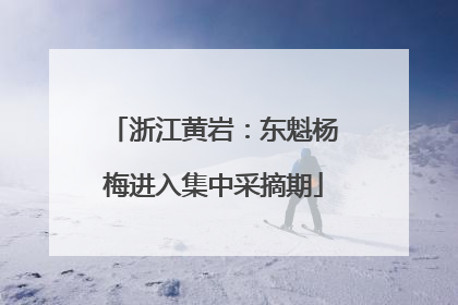 浙江黄岩：东魁杨梅进入集中采摘期