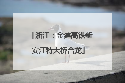 浙江：金建高铁新安江特大桥合龙