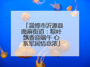 淄博市沂源县南麻街道：粽叶飘香迎端午 心系军属情意浓