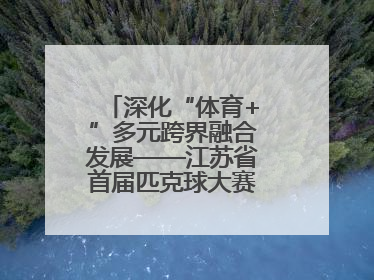 深化“体育+”多元跨界融合发展——江苏省首届匹克球大赛在无锡开赛