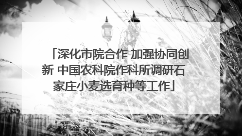 深化市院合作 加强协同创新 中国农科院作科所调研石家庄小麦选育种等工作