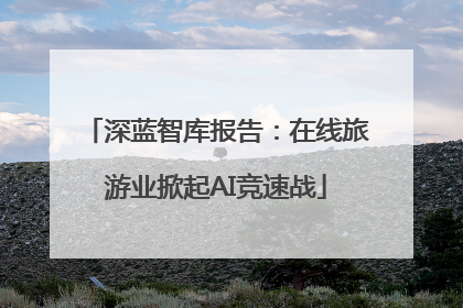 深蓝智库报告：在线旅游业掀起AI竞速战