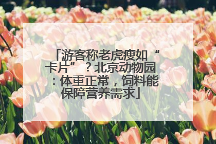 游客称老虎瘦如“卡片”？北京动物园：体重正常，饲料能保障营养需求
