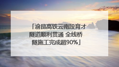渝昆高铁云南段育才隧道顺利贯通 全线桥隧施工完成超90%