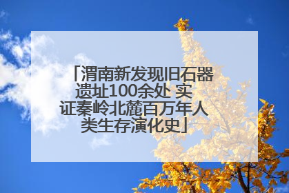 渭南新发现旧石器遗址100余处 实证秦岭北麓百万年人类生存演化史