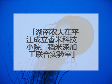湖南农大在平江成立香米科技小院、稻米深加工联合实验室
