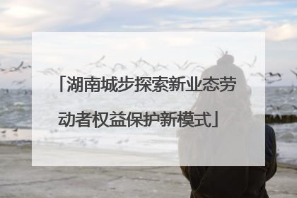 湖南城步探索新业态劳动者权益保护新模式