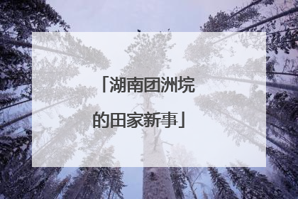 湖南团洲垸的田家新事
