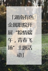 湖南有色金属职院开展“粽情端午，青春飞扬”主题活动