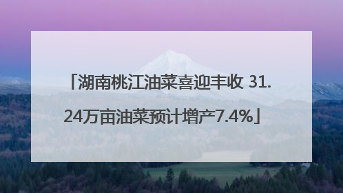 湖南桃江油菜喜迎丰收 31.24万亩油菜预计增产7.4%