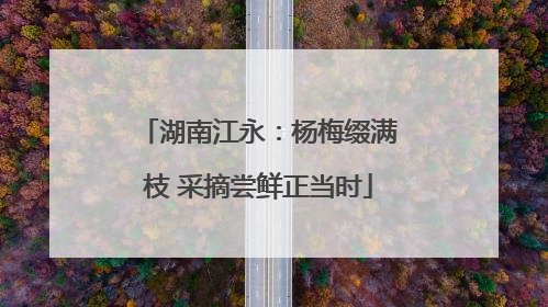 湖南江永：杨梅缀满枝 采摘尝鲜正当时