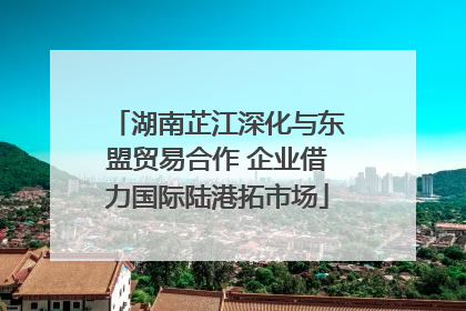 湖南芷江深化与东盟贸易合作 企业借力国际陆港拓市场