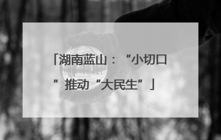 湖南蓝山：“小切口”推动“大民生”