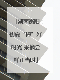 湖南衡阳：初夏“梅”好时光 采摘尝鲜正当时