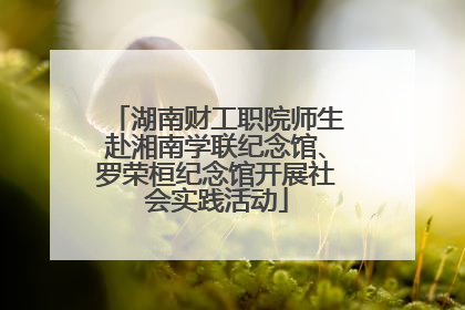 湖南财工职院师生赴湘南学联纪念馆、罗荣桓纪念馆开展社会实践活动