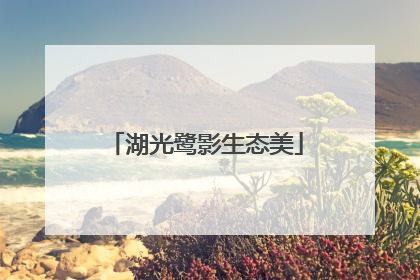湖光鹭影生态美