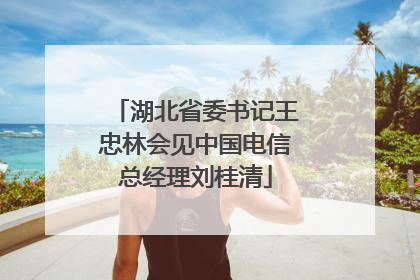 湖北省委书记王忠林会见中国电信总经理刘桂清