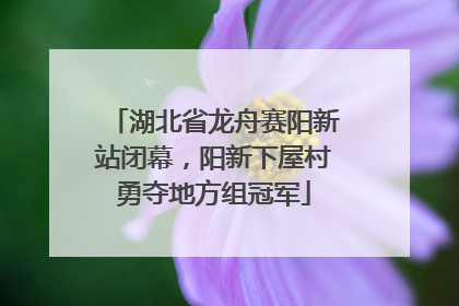 湖北省龙舟赛阳新站闭幕，阳新下屋村勇夺地方组冠军