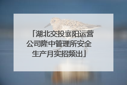 湖北交投襄阳运营公司隆中管理所安全生产月实招频出