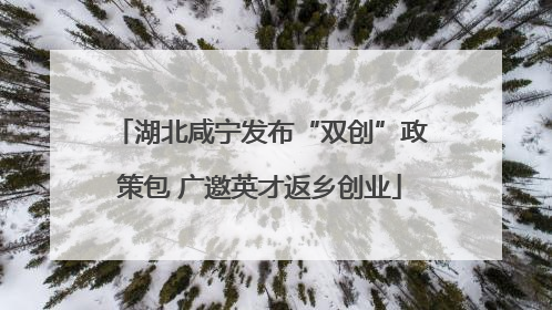 湖北咸宁发布“双创”政策包 广邀英才返乡创业