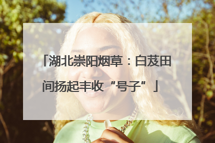 湖北崇阳烟草：白芨田间扬起丰收“号子”