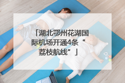 湖北鄂州花湖国际机场开通4条“荔枝航线”