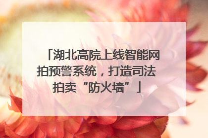 湖北高院上线智能网拍预警系统，打造司法拍卖“防火墙”