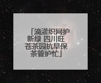 滴灌织网护新绿 四川旺苍茶园抗旱保茶管护忙