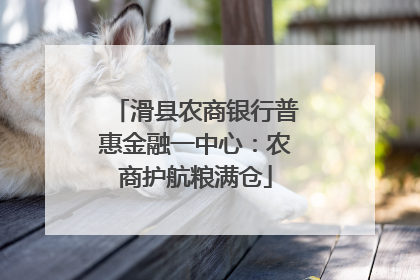 滑县农商银行普惠金融一中心：农商护航粮满仓