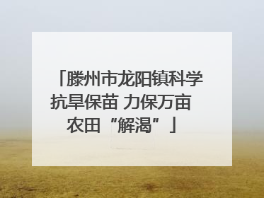 滕州市龙阳镇科学抗旱保苗 力保万亩农田“解渴”