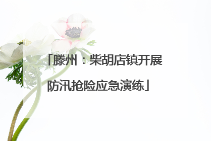 滕州：柴胡店镇开展防汛抢险应急演练