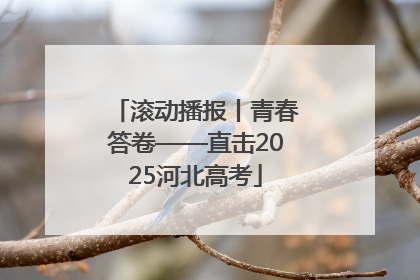 滚动播报丨青春答卷——直击2025河北高考