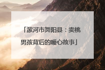 漯河市舞阳县：卖桃男孩背后的暖心故事