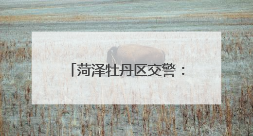 菏泽牡丹区交警：直击中考首日！他们在，没“意外”！