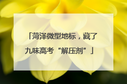 菏泽微型地标，藏了九味高考“解压剂”