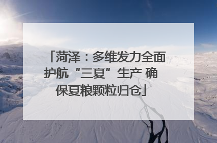 菏泽：多维发力全面护航“三夏”生产 确保夏粮颗粒归仓