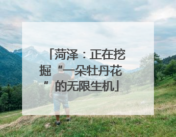 菏泽：正在挖掘“一朵牡丹花”的无限生机