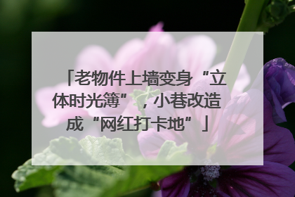 老物件上墙变身“立体时光簿”，小巷改造成“网红打卡地”