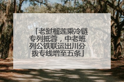 老挝榴莲乘冷链专列抵蓉，中老班列公铁联运出川分拨专线增至五条