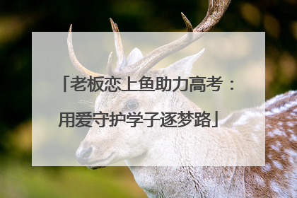 老板恋上鱼助力高考：用爱守护学子逐梦路